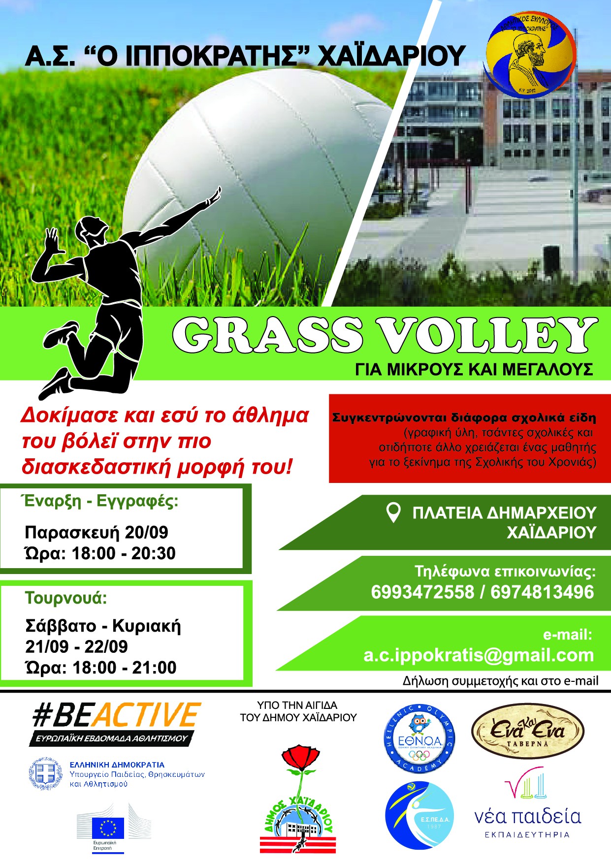 GRASS VOLLEY